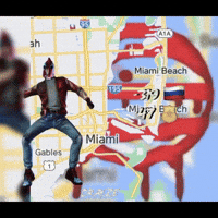 Graduation_bear  GIF