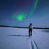 Spectacular Northern Lights Display Seen