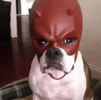 Mask Dog GIF