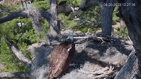 hdontap giphyupload GIF