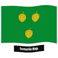 Flag Spain Sticker by Formación Ninja