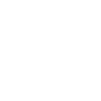 Cat Sticker