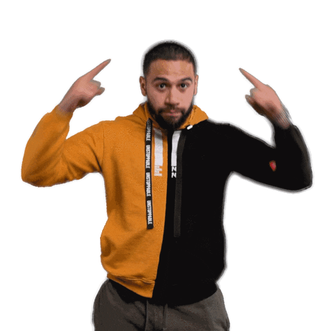 P4L Sticker by Emile Machado