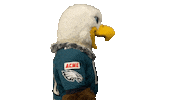 Pointing Say What Sticker by Philadelphia Eagles