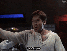 x files GIF by The X-Files