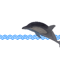 Sea Italy Sticker
