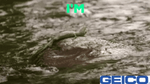 River Ok GIF by GEICO