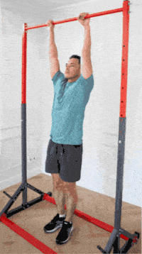 ThisIsCalisthenics calisthenics pull up tic pullup GIF