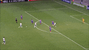 bahia GIF by SE Palmeiras