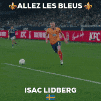 2 Bundesliga GIF