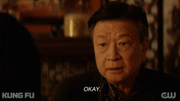 I Understand Tv Series GIF by CW Kung Fu