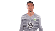 Koen Casteels Soccer Sticker by VfL Wolfsburg