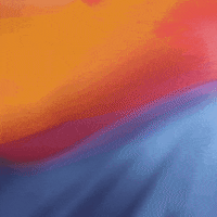 Register To Vote Ballot Box GIF by #GoVote