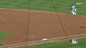 Ny Mets Catch GIF by New York Mets