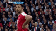 euro 2016 shirt GIF by Sporza