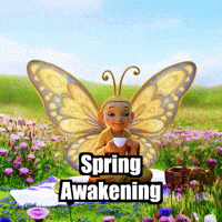 Buddhaflycharacter GIF by BuddhaFlyJourney