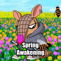 GIF by Chillo Dillo