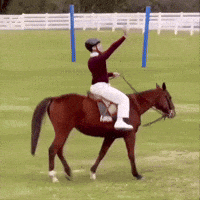 QGLuanAlencar luanalencar luan e caio luanecaio luan andando de cavalo GIF