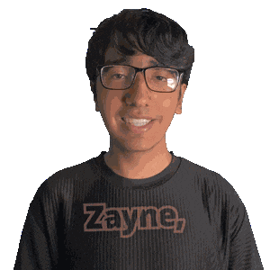 Zane Zain Sticker