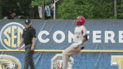 Lets Go Baseball GIF by Arkansas Razorbacks