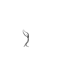 rikkipaepke flower flowers plant plants GIF