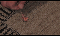 Bubble Gum Mess GIF by Goo Gone Brand