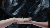 Meow GIF by MEOVV
