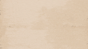 Affiche France GIF by Archives départementales de l'Hérault