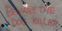 under the silver lake GIF by A24