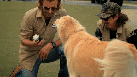Here You Go GIF by Dierks Bentley