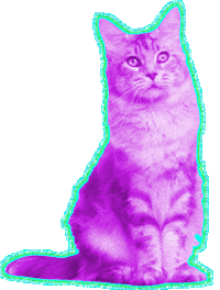 cat sitting STICKER