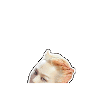 Gd Peaceminusone Sticker