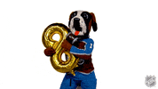 Colorado Avalanche Sport GIF by NHL