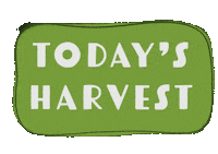 Home Grown Garden Sticker by Danyen