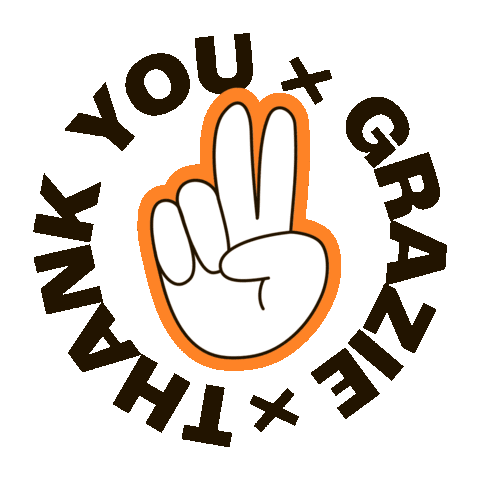 KiteTourStagnone giphyupload thank you grateful kite Sticker