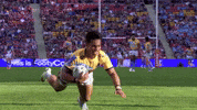 Gold Coast Titans GIF