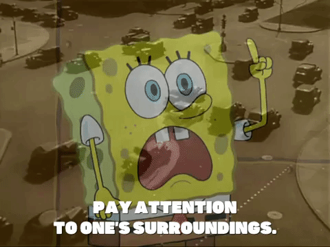 season 8 squidward's school for grown ups GIF by SpongeBob SquarePants