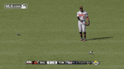 bal GIF by MLB