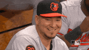 major league baseball sport GIF by MLB