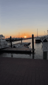 Treasure Coast Miami GIF by LindaDurbesson