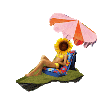 shambhala_mf shambhala shambhalamusicfestival shambhala2024 sunflowerlady Sticker
