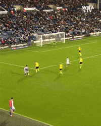 West Brom Championship GIF by West Bromwich Albion