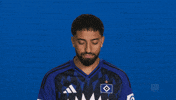 Look Up Hamburger Sv GIF by Bundesliga