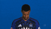 Look Up Hamburger Sv GIF by Bundesliga