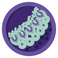 wearefeels feels wearefeels feelsrestaurant feelskitchenandjuicebar Sticker