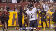 National Football League GIF by NFL