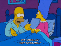homer simpson GIF