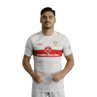 Football Sport Sticker by VfB Stuttgart