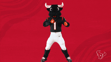Nfl Mascot GIF by Houston Texans