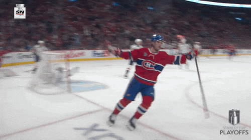 Happy Stanley Cup Playoffs GIF by NHL